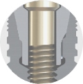 PrimeTaper EV Implant